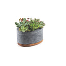 Pote Concreta em Pedra Sabão com Tampa Madeira Teca