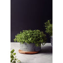 Pote Concreta em Pedra Sabão com Tampa Madeira Teca