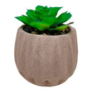 Cachepot com Suculenta Artificial Geometry 10,5cm