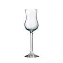 Jogo de 6 Taças Licor Gastro 85mL