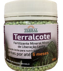 Terralcote Plus 6M 180g