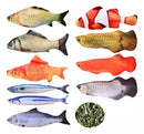 Brinquedo para Pet Peixinhos Sortidos 20cm
