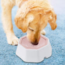 Tigela para Pet Flutuante