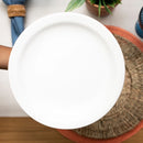 Prato Raso Comercial Pro 26cm