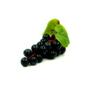 Uva Preta Artificial 14cm