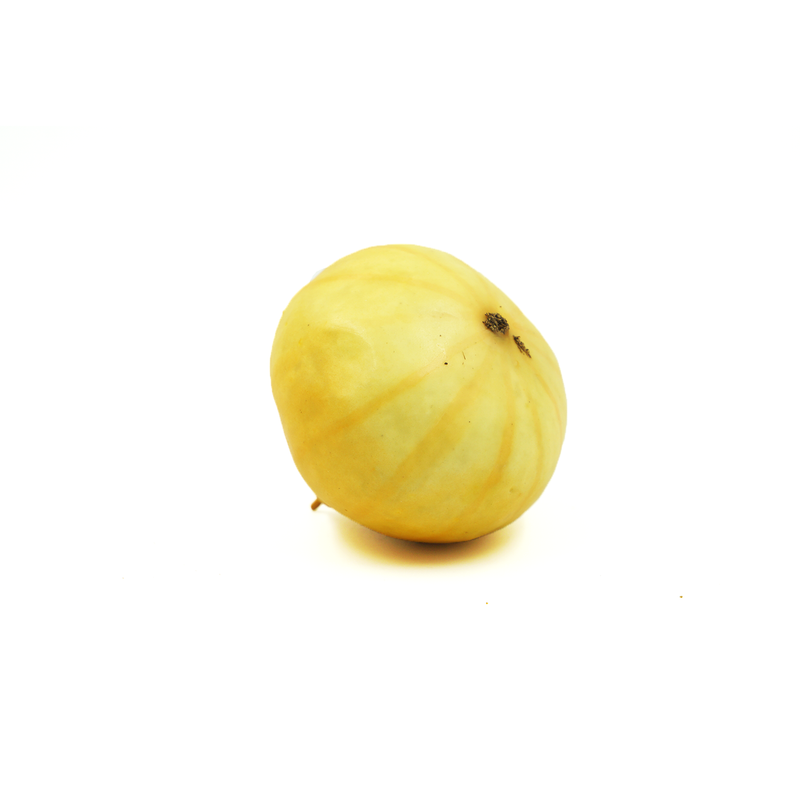 Cebola Artificial 7cm