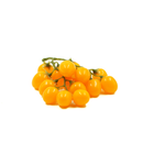 Tomate Cereja Artificial