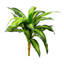 Dracena Artificial 90cm