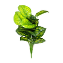 Maranta Artificial 73cm