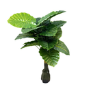 Alocasia Artificial 75cm