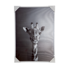 Quadro Decorativo Variado 50x70cm