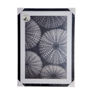 Quadro Decorativo Variado 50x70cm