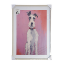 Quadro Decorativo Variado 50x70cm