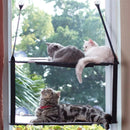 Cama Dupla para Gatos Janela