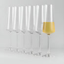 Jogo de 6 Taças Champanhe Xtra 210mL