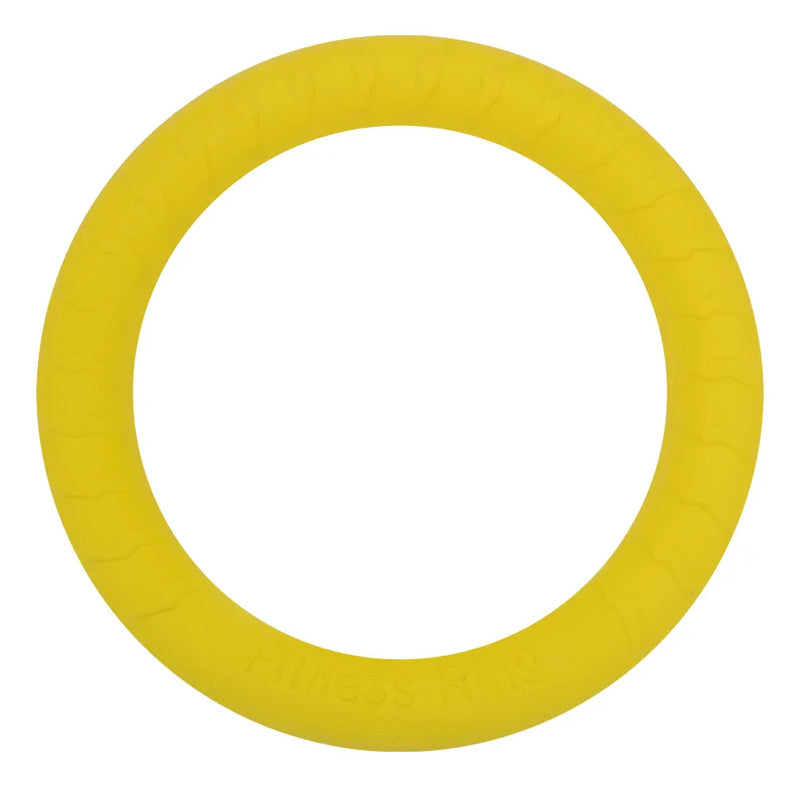 Brinquedo para Pet em Disco 18.5cm