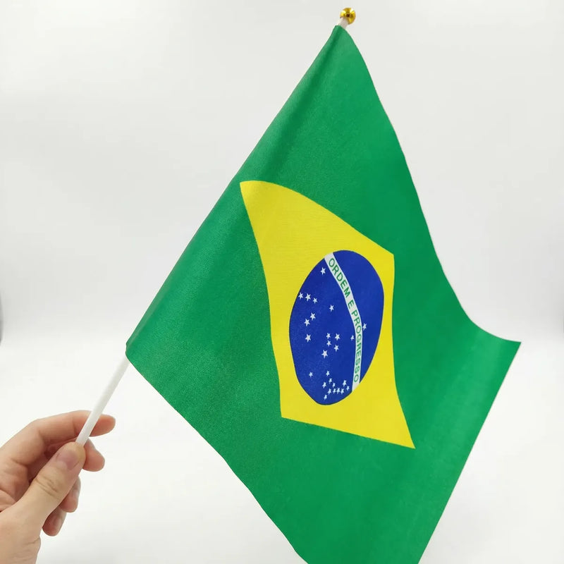 Bandeira de Mão Brasil 20x28cm