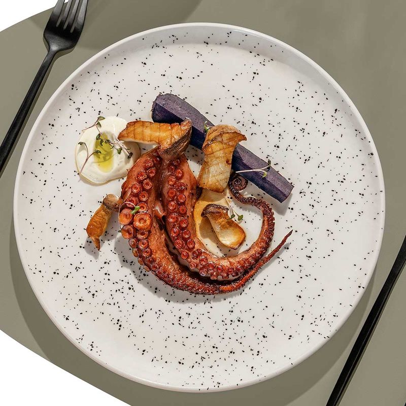 Aparelho de Jantar Flat Chuvisco 30 Peças
