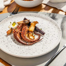 Aparelho de Jantar Flat Chuvisco 30 Peças