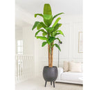 Bananeira Artificial 220cm