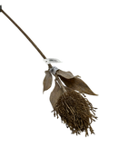 Folhagem Artificial Sortida 68cm