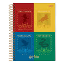 Caderno CD Harry Potter 15 Matérias